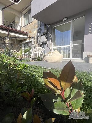 image_40