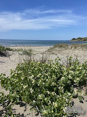 image_47