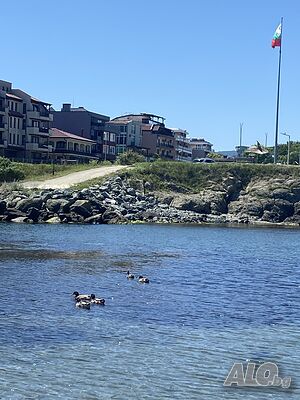 image_50