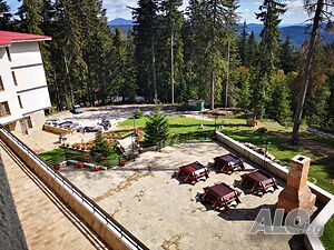 image_8