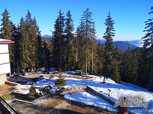 image_7