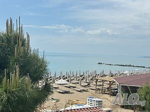 image_26