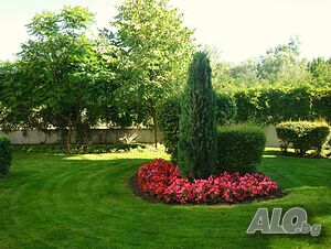 image_4