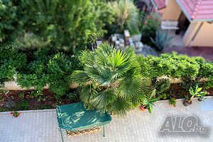 image_12