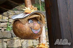 image_18