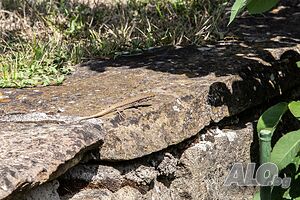image_36
