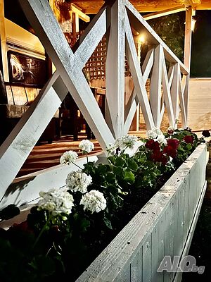 image_33