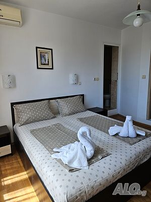 image_11